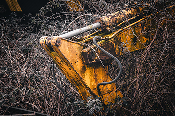 Image showing Old abandoned yellow excavator in a garden