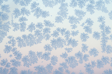 Image showing Frost flakes on a cold morning in the winter