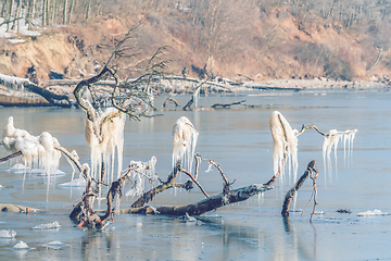 Image showing Icy landscape with icicles on branches