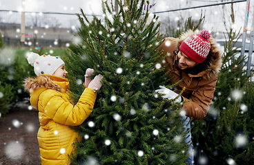 Image showing happy family choosing christmas tree at market