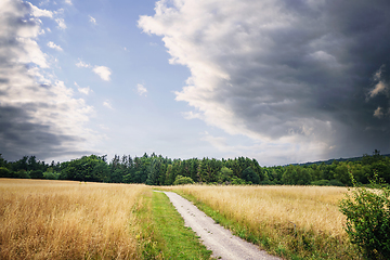 Image showing Rural dirt road surrounded by golden field