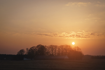 Image showing Rural sunset over trees near a farm