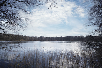 Image showing Lake view with rushes in the water