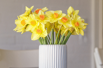 Image showing Daffodils in a white vase in the springtime