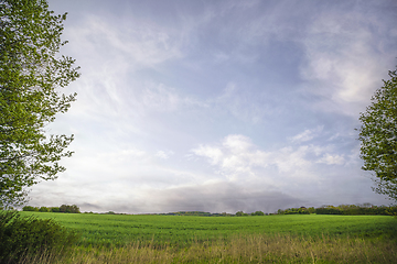 Image showing Rural field with green grass