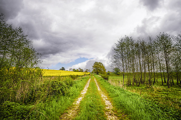 Image showing Rural countryside road in cloudy weather