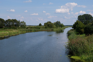 Image showing Narew River in Tykocin Valley