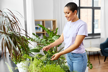 Image showing african american woman taking care of houseplants