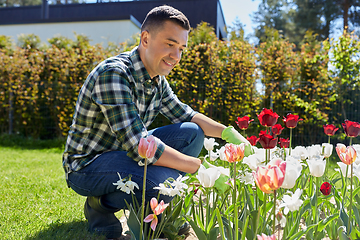 Image showing middle-aged man taking care of flowers at garden