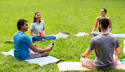 Image showing group of people sitting on yoga mats at park