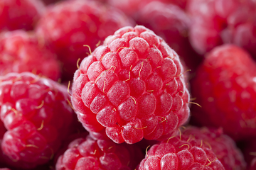 Image showing red raspberry