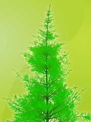 Image showing Pine tree illustration