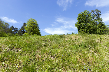 Image showing summer landscape