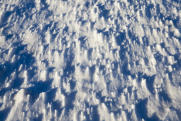Image showing After snowfall