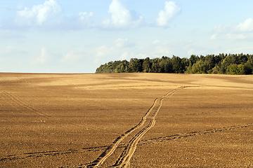 Image showing plowed field