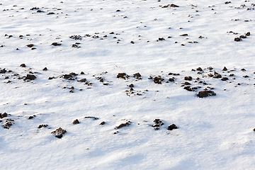 Image showing Snow drifts in winter