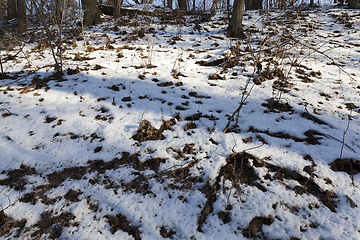 Image showing Snow drifts in winter