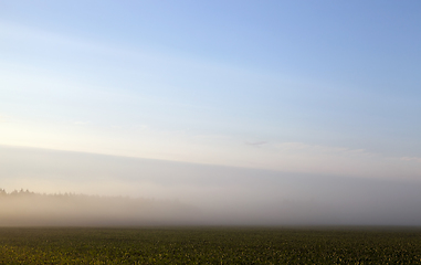 Image showing agricultural field