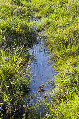 Image showing small narrow creek