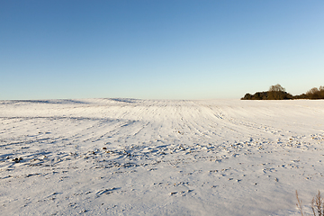 Image showing Winter time