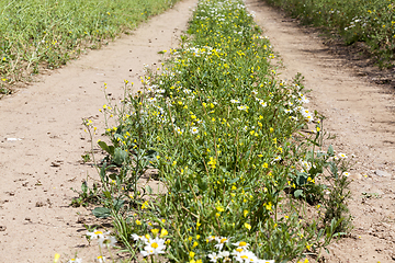 Image showing rural road