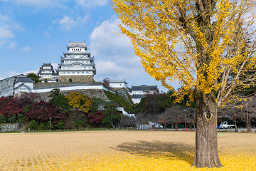 Image showing Himeji castle and ginkgo tree