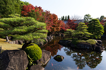 Image showing Japanese Kokoen Garden