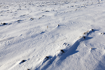 Image showing surface of the snow