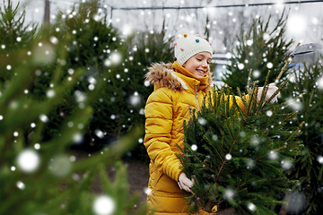 Image showing little girl choosing christmas tree at market