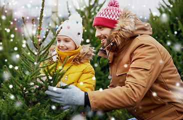 Image showing happy family choosing christmas tree at market