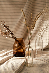 Image showing decorative dried flowers in vases and bottles