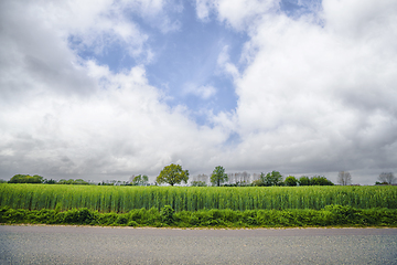 Image showing Asphalt road in front of a green field