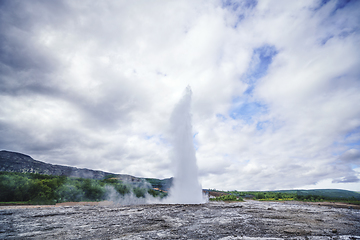 Image showing Large geyser on Iceland surrounded by lava cliffs