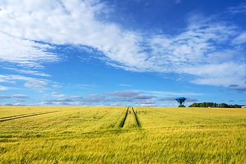 Image showing Rural landscape wtih a golden wheat field