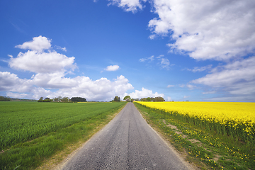 Image showing Asphalt road in a rural landscape