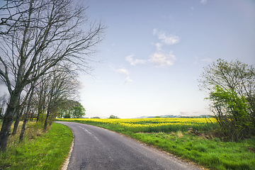 Image showing Asphalt road in a countryside landscape