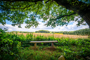 Image showing Rural landscape with a wooden bench