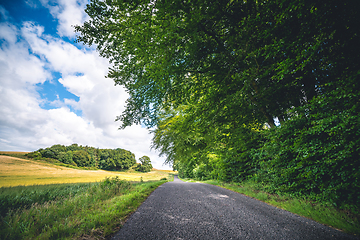 Image showing Asphalt road in a rural environment