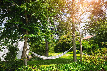 Image showing White hammock in a green garden