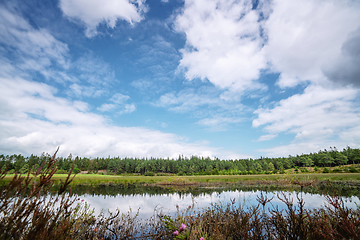 Image showing Forest lake under a blue sky in the summer