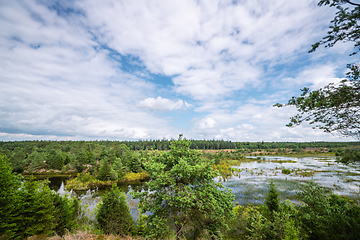 Image showing Landscape scenery in the wetlands