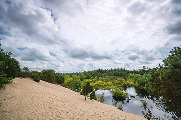 Image showing Beach by a forest lake with nature wilderness