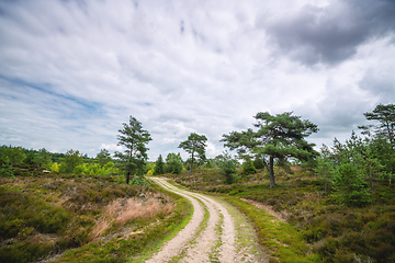 Image showing Dirt road in a wilderness landscape