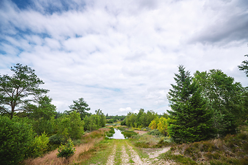 Image showing Flooded dirt road in wild nature