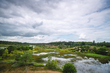 Image showing Wetlands in wild Scandinavian nature