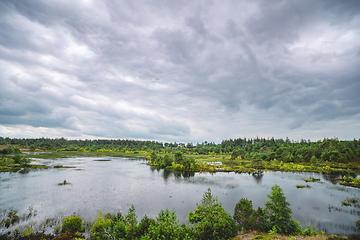 Image showing Wetland with small lakes and green wilderness