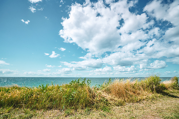 Image showing Grass by the coast with a calm ocean