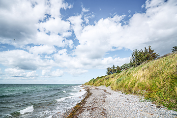 Image showing Nordic coast with greean grass