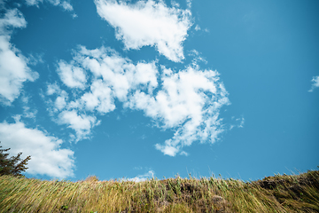 Image showing Blue sky over a plain with dry grass in the summer