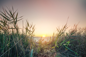 Image showing Morning sunrise by the sea with green grass